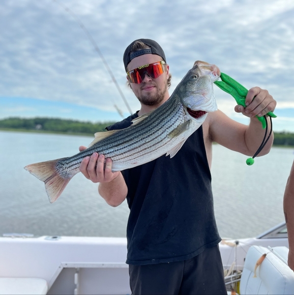 Live Like Listing: Shop my closet, low starts, under $10. - Picture 11 of 16